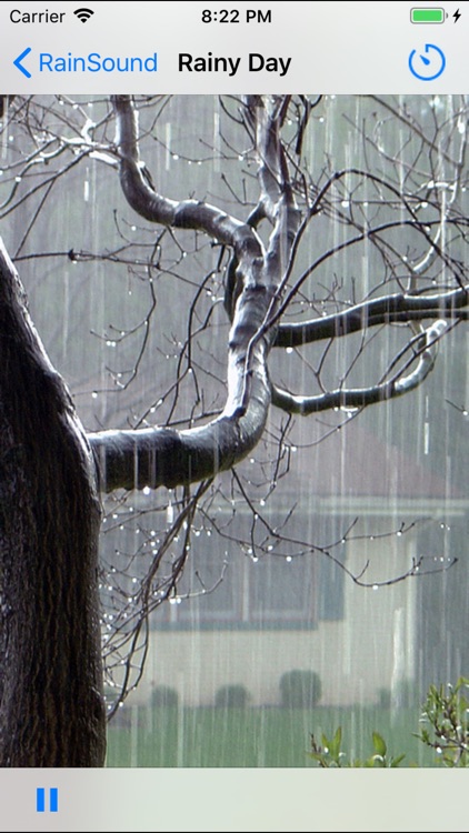Rain Sleep Sounds - Premium screenshot-4