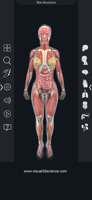 AR Human Anatomy(圖4)-速報App