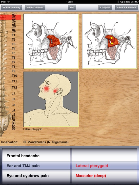 Dry Needling Pro screenshot-4