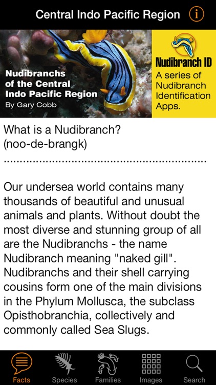 Nudibranch ID Indo Pacific