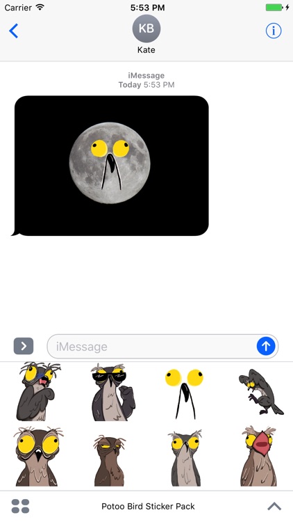 Potoo Bird Sticker Pack screenshot-4