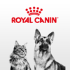 บริษัท โรยัล คานิน (ประเทศไทย) จำกัด - Royal Canin Club  artwork