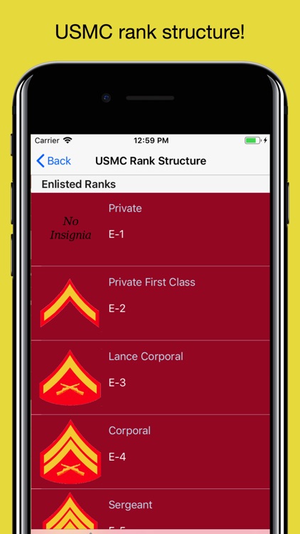 MCJROTC Guidon