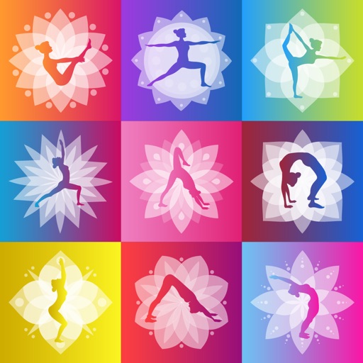 Beginner Yoga & Stretching Icon