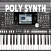 Musical polyphonic synthesizer - Evgeny EGOROV