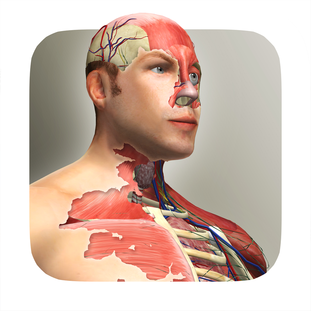 Idle Human App Icon