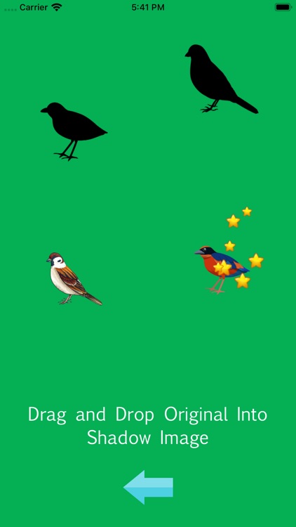 DragDropandCroosMatchBird screenshot-6