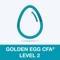 Your new best friend in learning Golden Egg CFA® Exam Level 2 Practice Test takes test preparation to a new level
