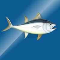 CatchLog pour PC