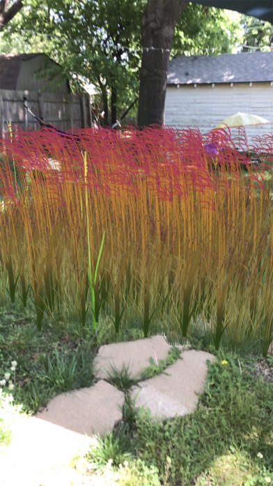 Grass Flower Weed: Bluestem screenshot 2
