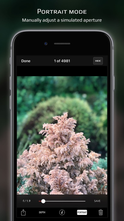 Chromatica camera screenshot-8