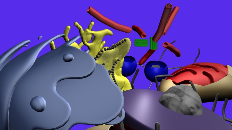 Cell Structure in 3D screenshot-3