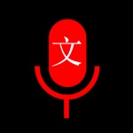 语音转文字-录音转换文字助手