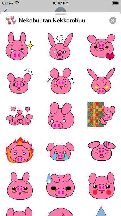 Nekobuutan Nekkorobuu