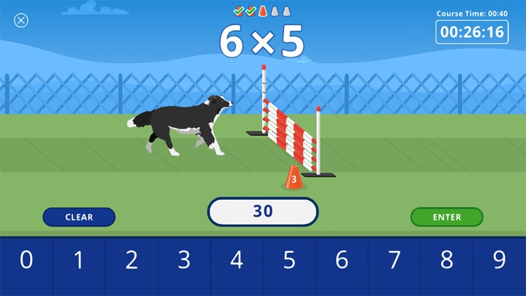 AKC Math Agility