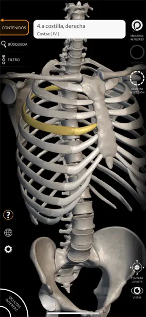 Captura 1 Esqueleto Anatomía 3D iphone