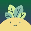 Planty: Plant Identifier, Care App Icon