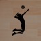 Turn your TV monitor into a pro-style animated scoreboard with Ace Volleyball Scoreboard