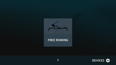 RP3 Rowing Lite screenshot 3