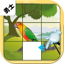 Bird Slide Puzzle Fun Game