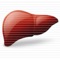 iOS app to calculate the risk for developing cirrhosis/end-stage liver disease from nonalcoholic fatty liver disease