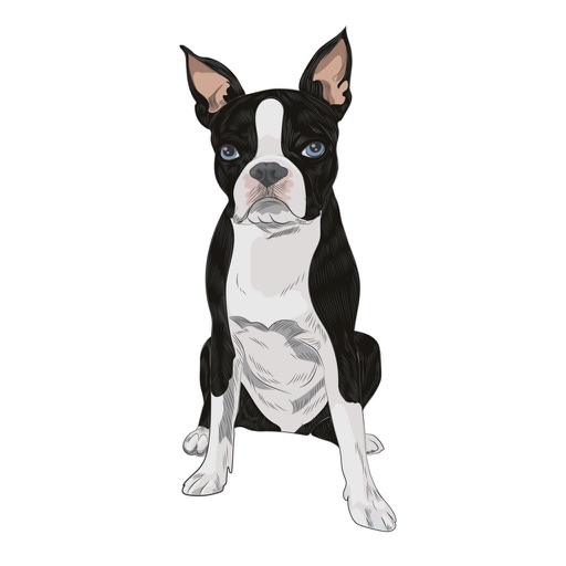 DogBreedsTL