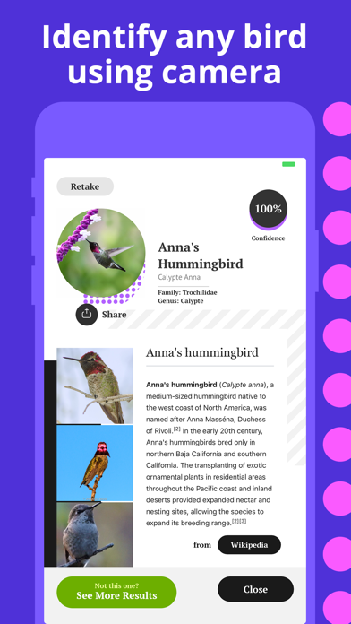 Bird Identification screenshot 2