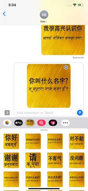 Chinese Hindi(圖5)-速報App