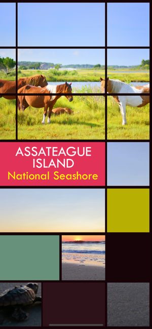 Assateague Island(圖1)-速報App