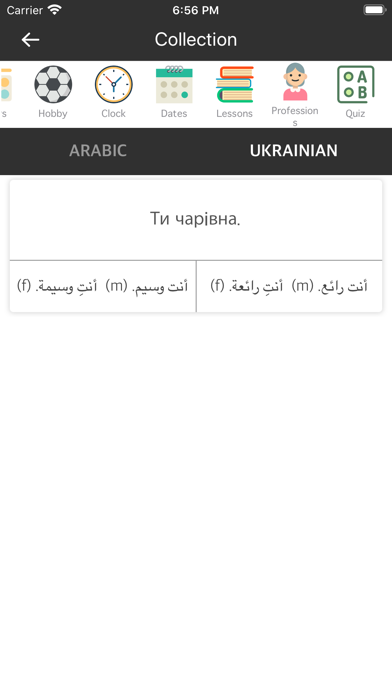 Arabic Ukrainian Dictionary screenshot 3