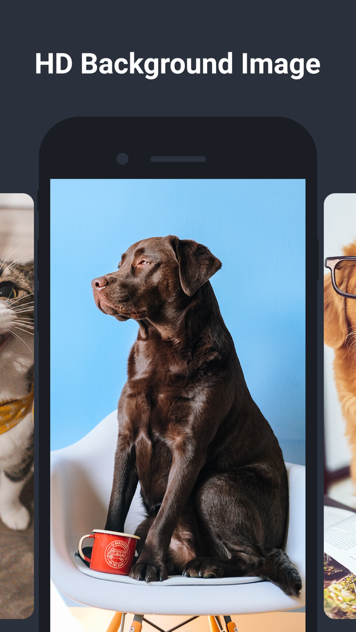 Wallpapers Live - HD Wallpaper