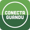 Conecta Guandu