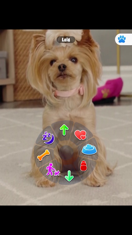 Murphy Cares screenshot-3