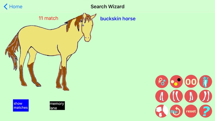 Chincoteague Pony Names