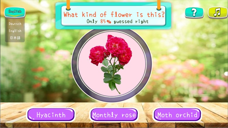 Flower Puzzles