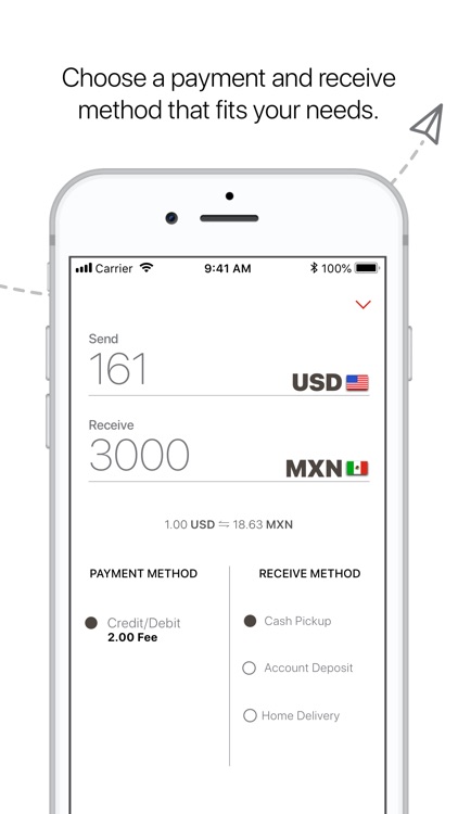 MoneyGram screenshot-3