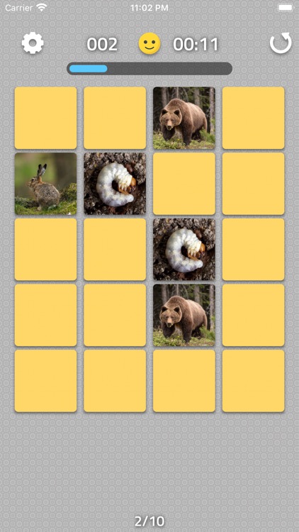 Find The Pairs screenshot-4