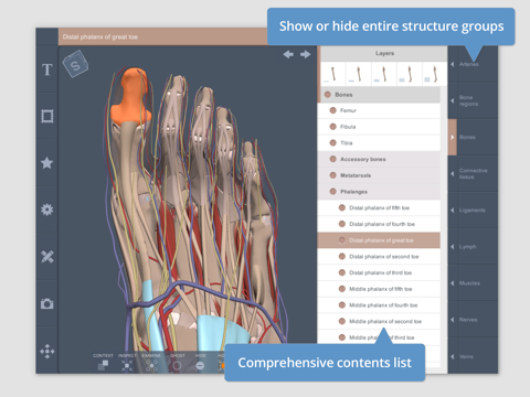 Leg, Ankle, Foot: 3D Real-time screenshot 3