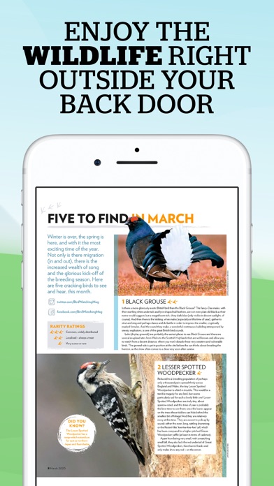 【图】Bird Watching Magazine(截图2)