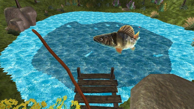 Fishing Sim - Keep or Release