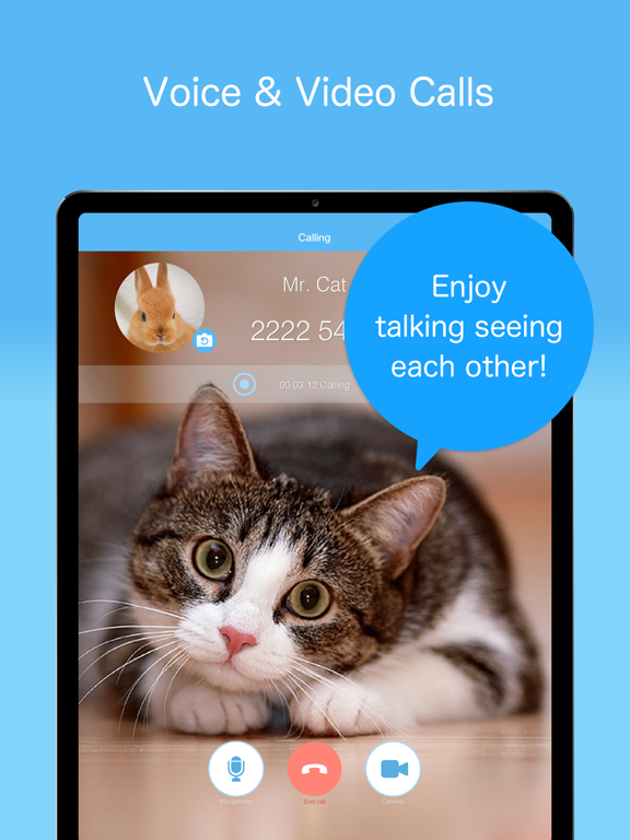 SkyPhone - Free calls screenshot