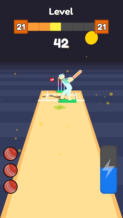 Real Cricket Bowling Practice screenshot 2