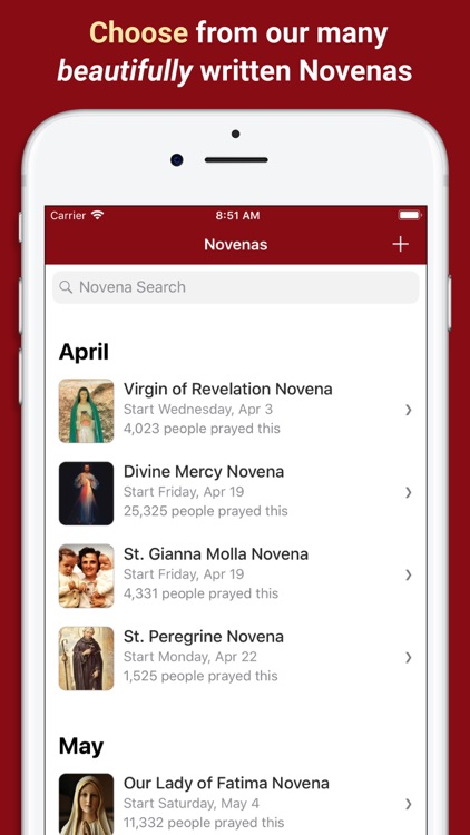Pray Catholic Novenas