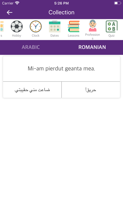 Arabic Romanian Dictionary screenshot 3