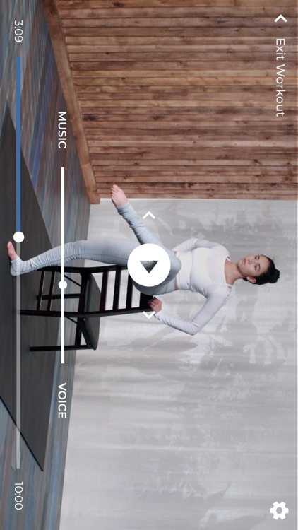 Barre Workouts | Down Dog screenshot-4