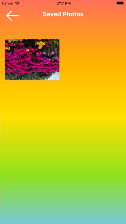 Pro Photo Filter screenshot-4