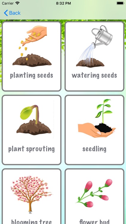 Spring vocabulary in English