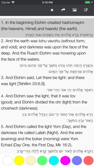 Hebrew Bible Now - Tanakh screenshot 3
