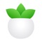Plant Daddy helps you to care for your plants