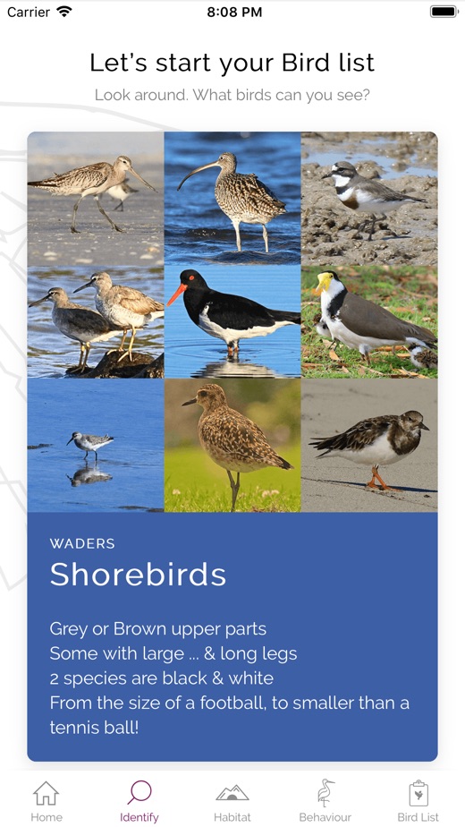 【图】My Shorebird Watcher(截图3)